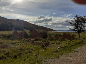 Rive nord du lac Titicaca